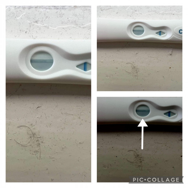 Positive pregnancy test?