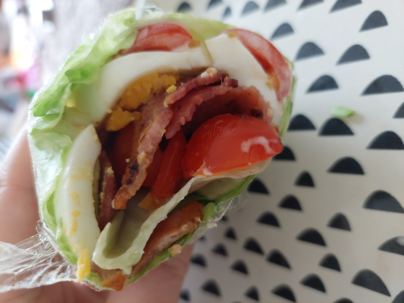 May 22 Low Carb Bootcamp - the preparation thread