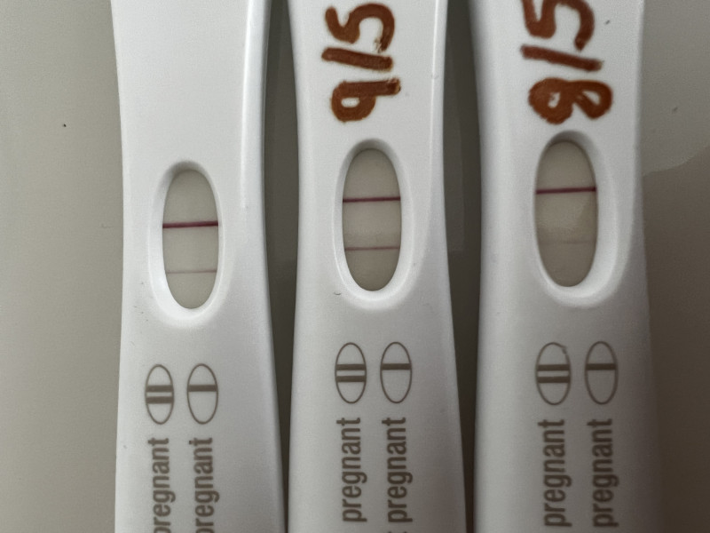IVF April/May 2022