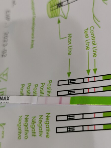 One step ovulation tests