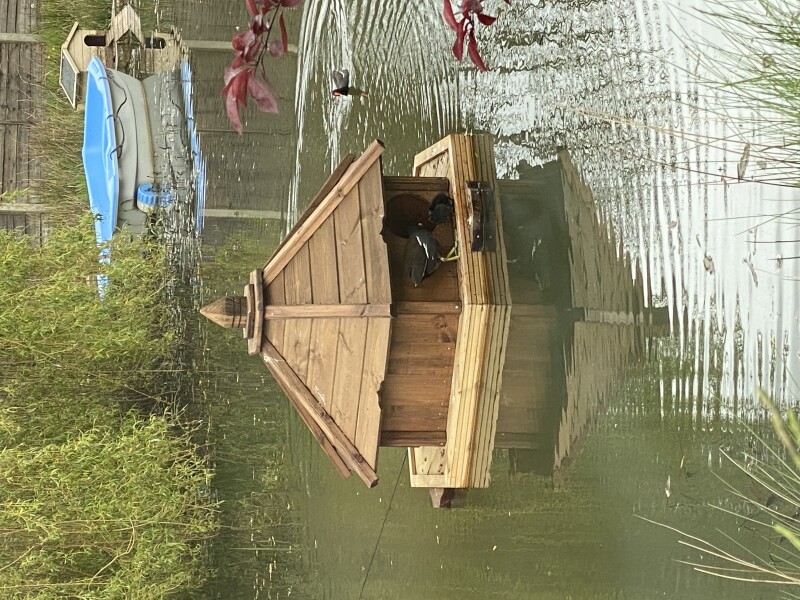 Duck Tales! (Still not what I expected to wake up to this morning)