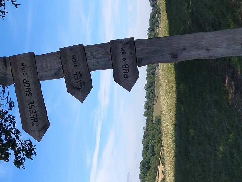 Come chat hiking with me!