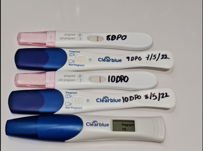 Due January 2023 ❤️
