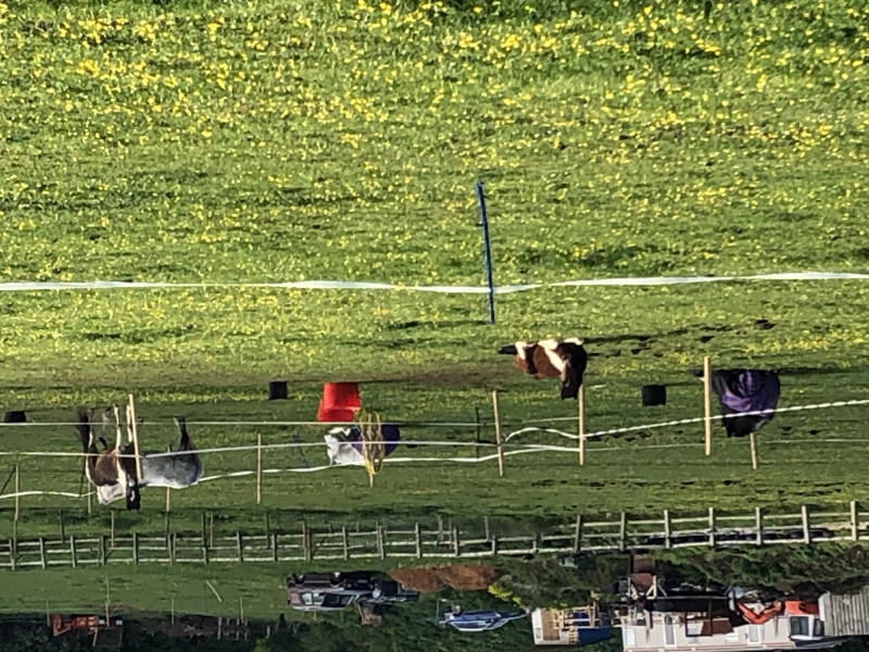 Dating thread 228: ribbons round a maypole