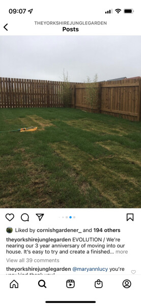 New garden, just grass - WWYD