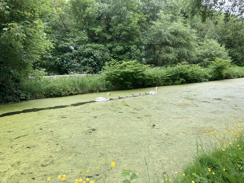 Nature Notes: the 2022 edition