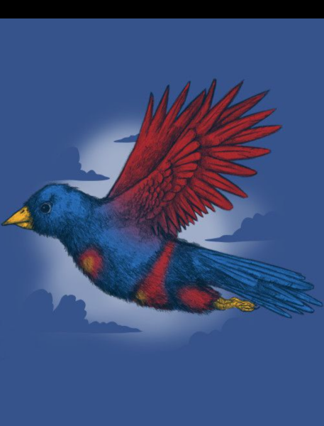 Allison Bailey v Stonewall - Employment Tribunal hearing Thread 14