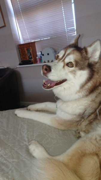 One year+ TTC part 3