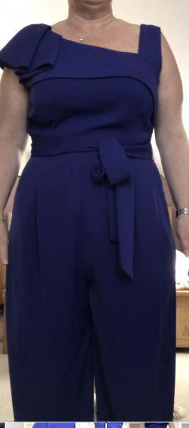 Phase Eight jumpsuit