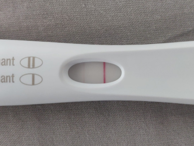 IVF April/May 2022