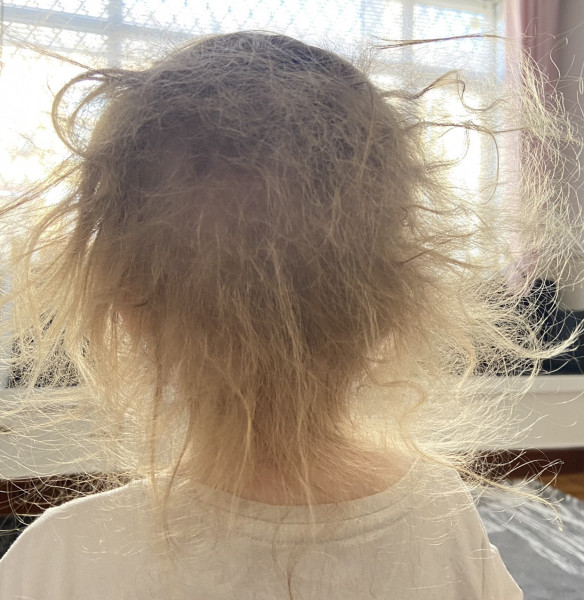 Toddler hair with pic