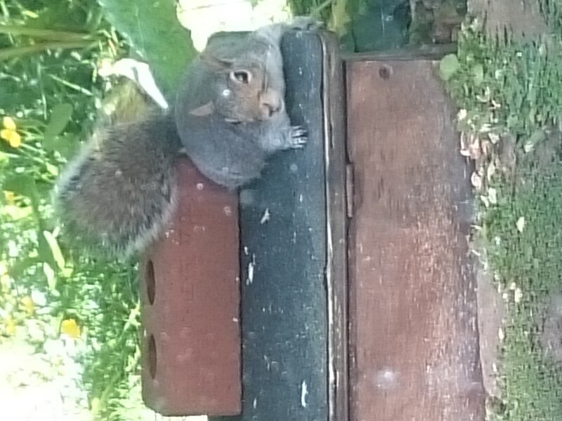 Any Witches Here? Part 16