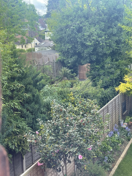 How do I check who owns a fence?