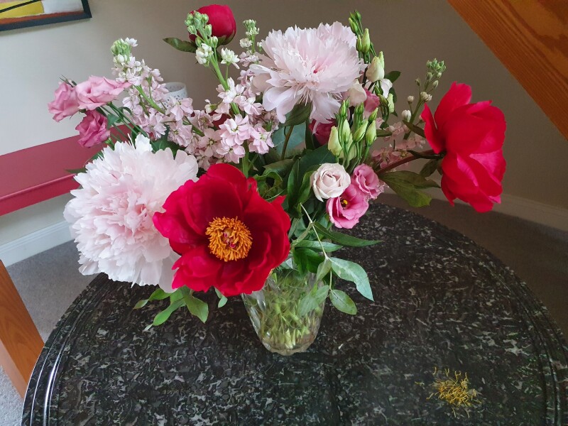 Freddie’s Flowers alternatives