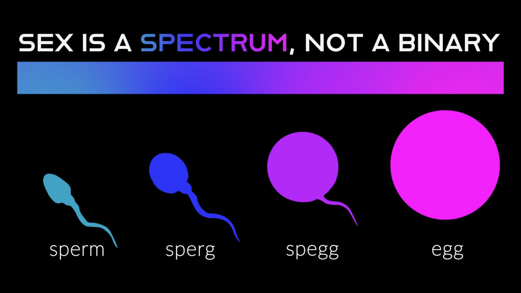 Can anyone with a biologist background explain this tweet to me 