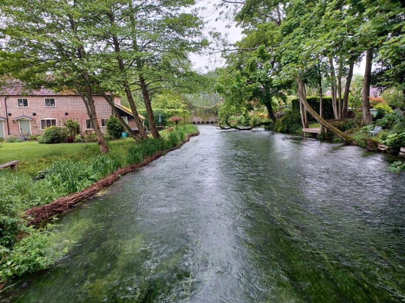 LOSE IT! May 2022