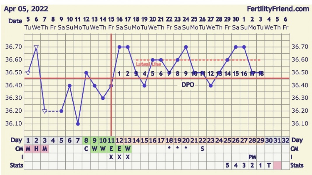 BBT chart - so many peaks?? When did I ovulate?