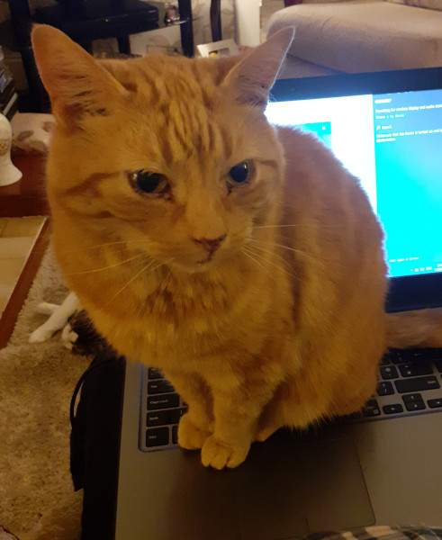 The Our Girl Addicts Thread 64 Stay focused, Stay alert, Stay alive and carry on....spying