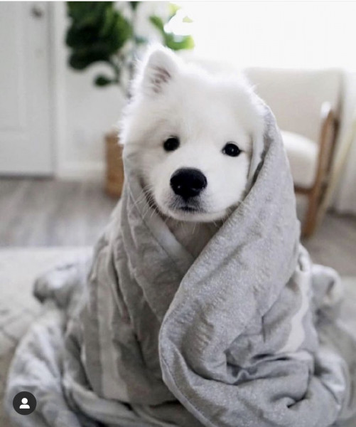 To think there is nothing more adorable than a baby in a baby grow 