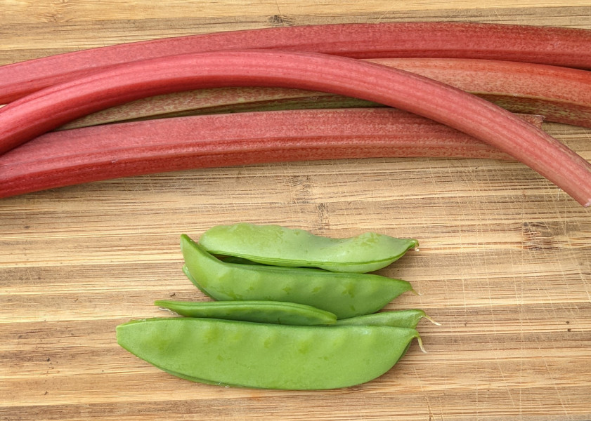 The Vegetable Patch
