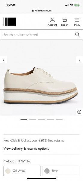 What shoes/boots to professional looking women wear?