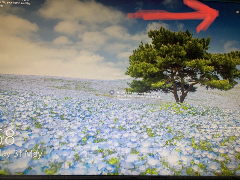 MsLatté’s Daebak Cybercafé (Kdrama addicts #33): So much good content airing just now our Filthy Noonas’ hearts are fit to burst like squashed frogs on a country road