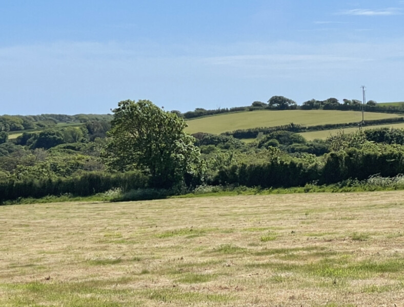 Would you walk across a field alone?