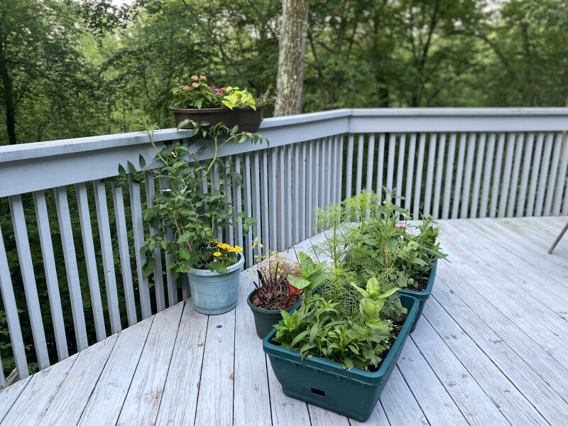 Come and tell me your dull and unexciting news 22: Calmly through the day