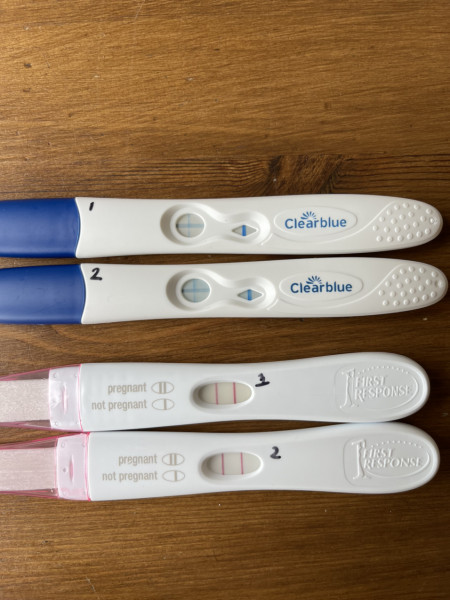 What did your lines look like 12dpo?