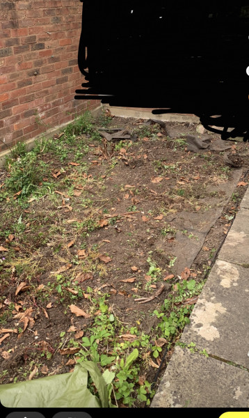 Help with front garden, I'm clueless!