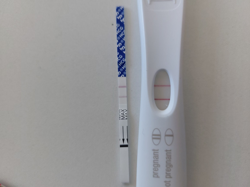 Anybody else been trying for 10+ months?