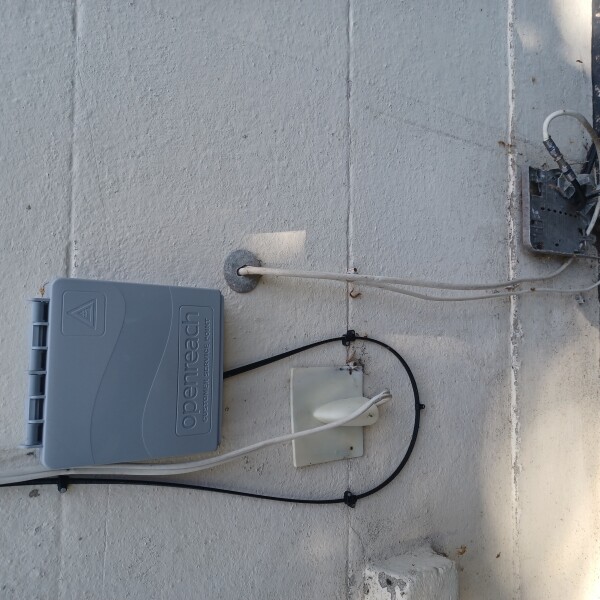 What to do about this mess on front of house