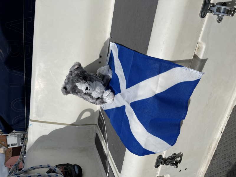 Cancer support thread #82