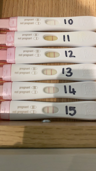 Due January 2023 ❤️