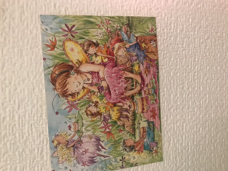 Please help me find this fairy book