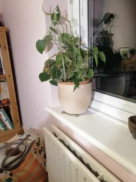 House plant pots - why don't the manufacturers of the ceramic pots collaborate with the manufacturers of the plastic pots? 