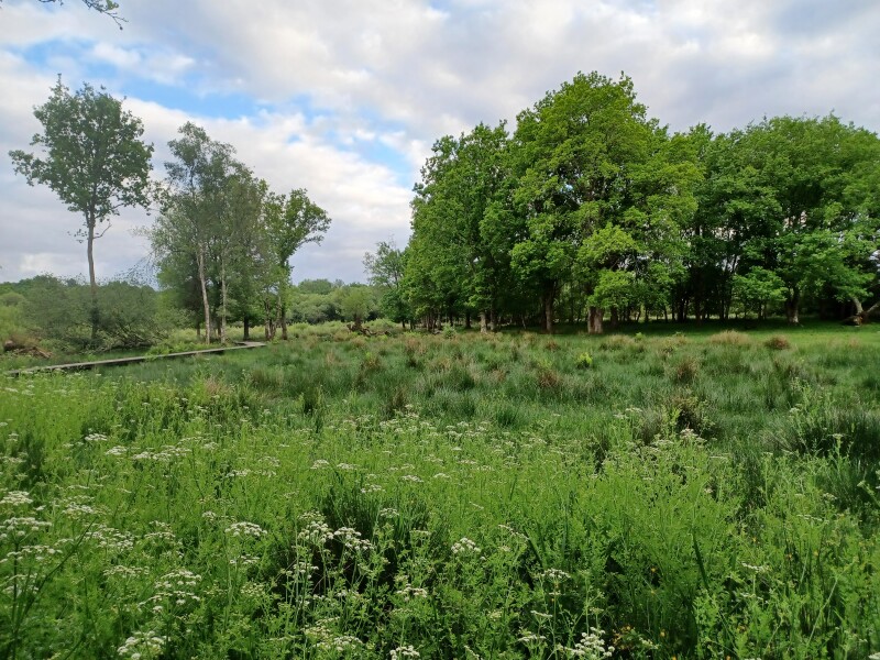 Come chat hiking with me!