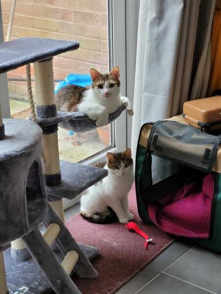 Getting ready for our rescues !
