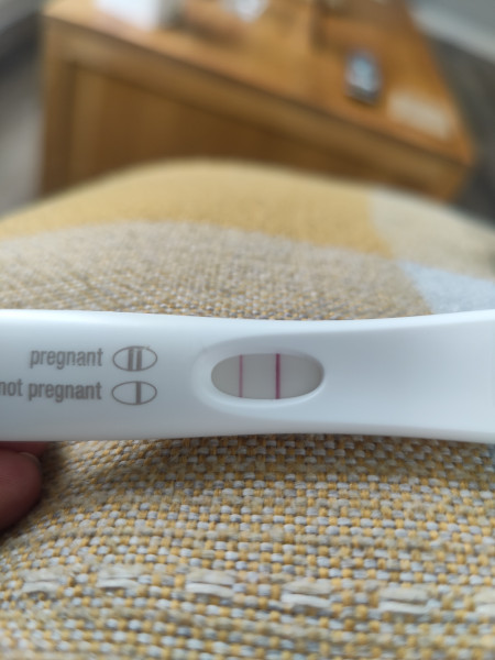 12 dpo line on test