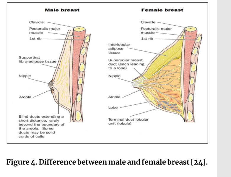 A transwoman feeding their new born baby with their own milk..