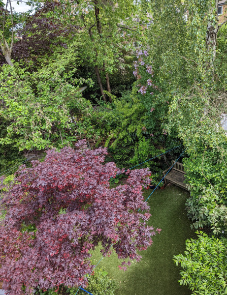 Artificial garden lawns - what a weird world