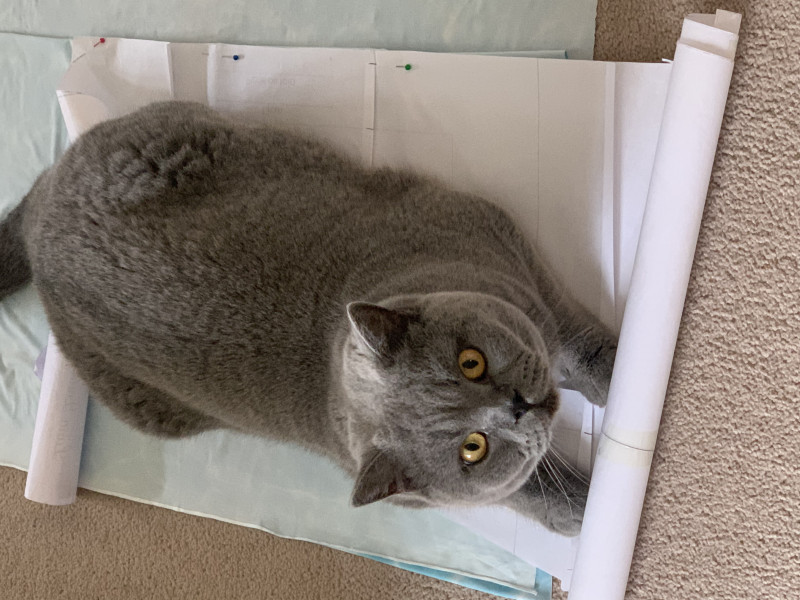 Stitch and bitch thread #4 I needle the help I can get.