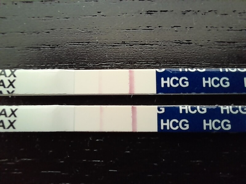 Immune/NK cells - pred thread 29