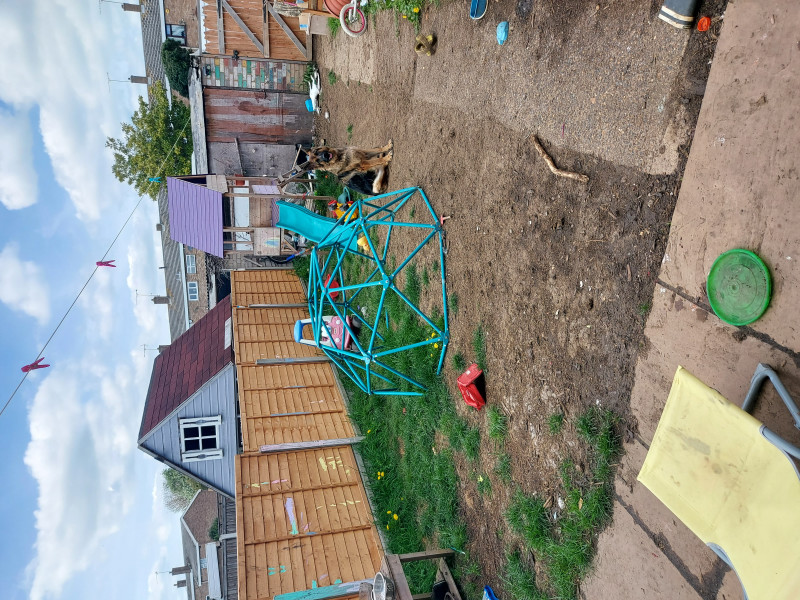 Saving a muddy garden? 