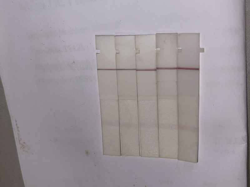 When to test?