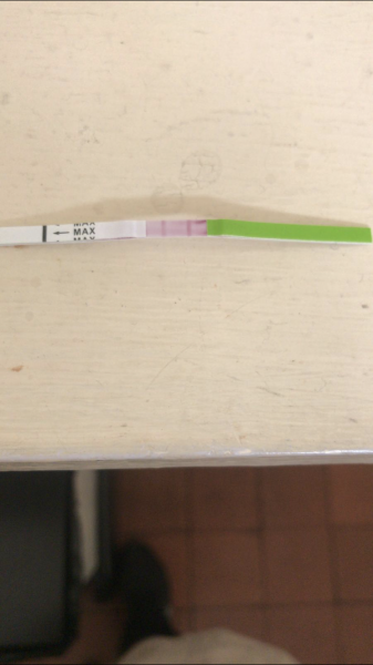 Conception