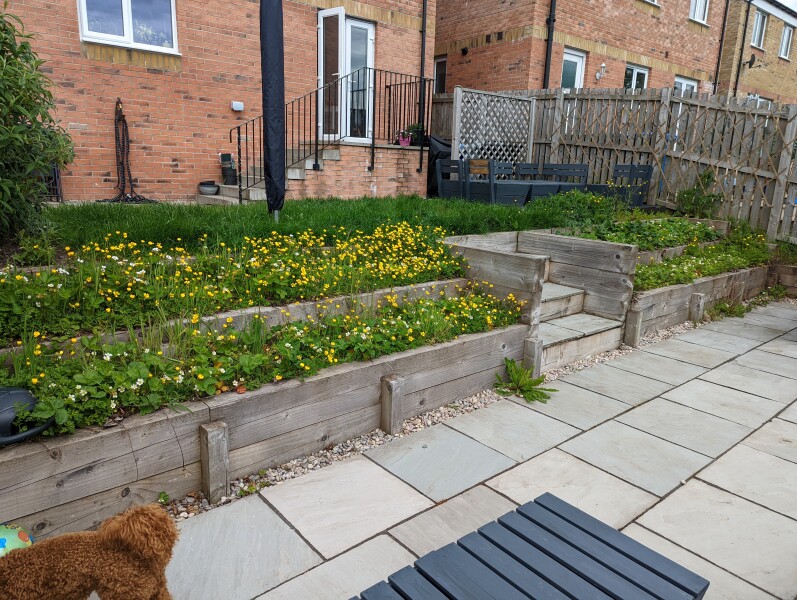 What to plant here?