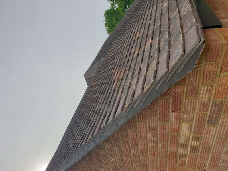 Extension Thread 2022....plaster, panic and pics