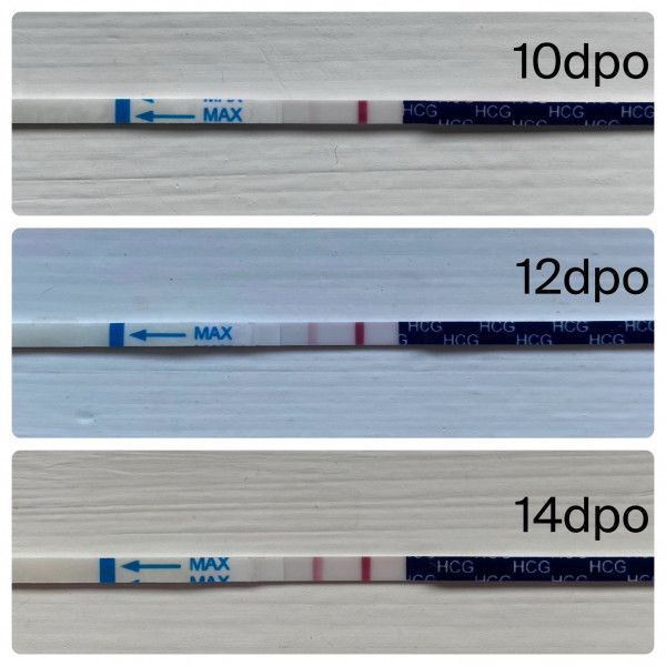 7DPO thread 2