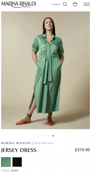 Please help a fat woman find a birthday outfit!